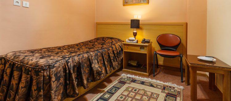 Sasan Hotel Shiraz Single Room